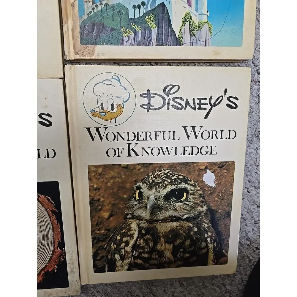 Lot of 4 Vintage 1971 Disney's Wonderful World of Knowledge Hardcover Kids Books